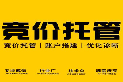 SEM运营公司经典案例点评